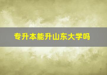 专升本能升山东大学吗