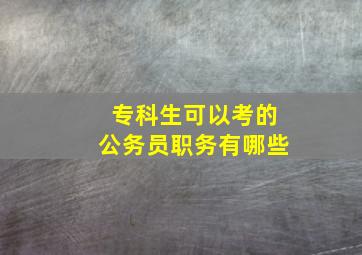 专科生可以考的公务员职务有哪些