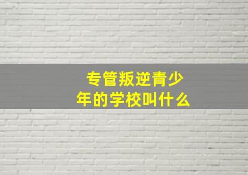 专管叛逆青少年的学校叫什么