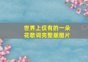 世界上仅有的一朵花歌词完整版图片