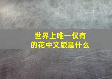 世界上唯一仅有的花中文版是什么