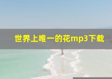 世界上唯一的花mp3下载