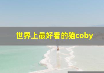 世界上最好看的猫coby