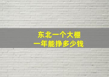 东北一个大棚一年能挣多少钱