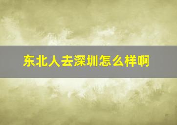 东北人去深圳怎么样啊