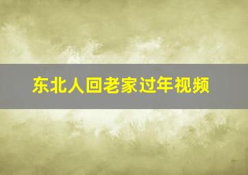 东北人回老家过年视频