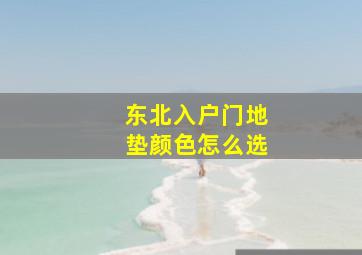 东北入户门地垫颜色怎么选