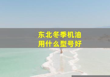 东北冬季机油用什么型号好