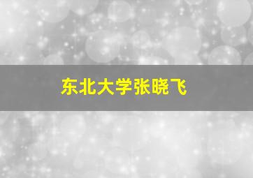 东北大学张晓飞