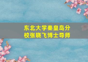 东北大学秦皇岛分校张晓飞博士导师