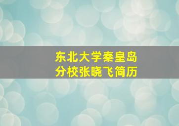 东北大学秦皇岛分校张晓飞简历