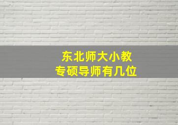 东北师大小教专硕导师有几位