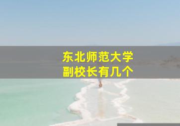 东北师范大学副校长有几个