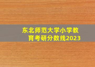 东北师范大学小学教育考研分数线2023