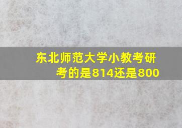 东北师范大学小教考研考的是814还是800