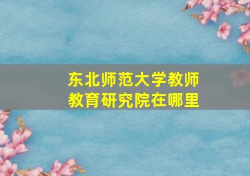 东北师范大学教师教育研究院在哪里