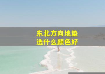 东北方向地垫选什么颜色好