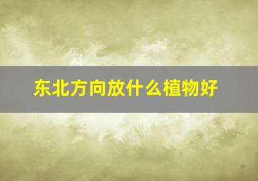 东北方向放什么植物好