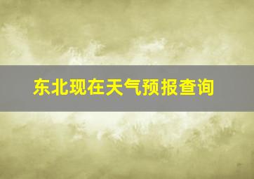 东北现在天气预报查询