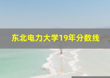 东北电力大学19年分数线