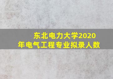 东北电力大学2020年电气工程专业拟录人数