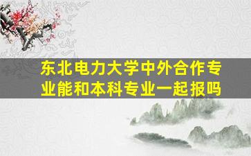 东北电力大学中外合作专业能和本科专业一起报吗