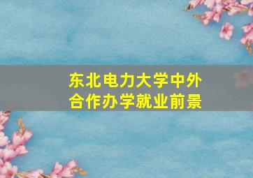 东北电力大学中外合作办学就业前景