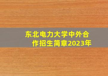 东北电力大学中外合作招生简章2023年