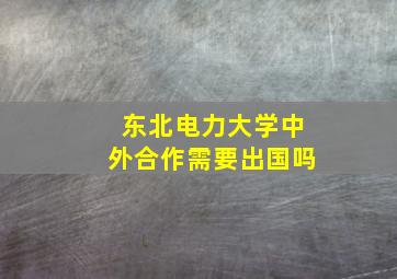 东北电力大学中外合作需要出国吗