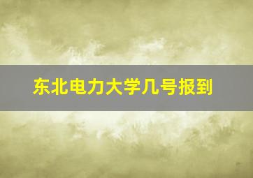 东北电力大学几号报到