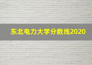 东北电力大学分数线2020