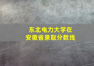 东北电力大学在安徽省录取分数线