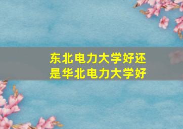 东北电力大学好还是华北电力大学好