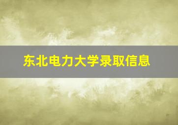 东北电力大学录取信息