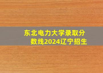 东北电力大学录取分数线2024辽宁招生