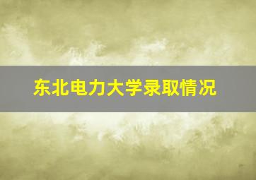 东北电力大学录取情况