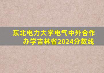 东北电力大学电气中外合作办学吉林省2024分数线