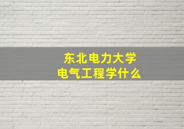 东北电力大学电气工程学什么