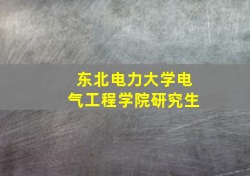 东北电力大学电气工程学院研究生