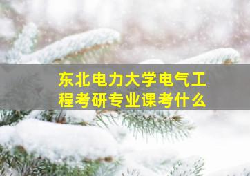 东北电力大学电气工程考研专业课考什么