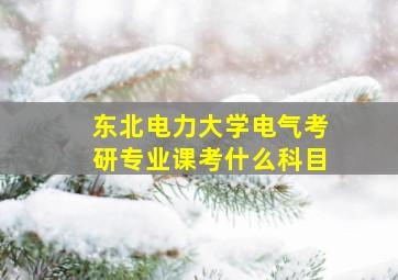 东北电力大学电气考研专业课考什么科目