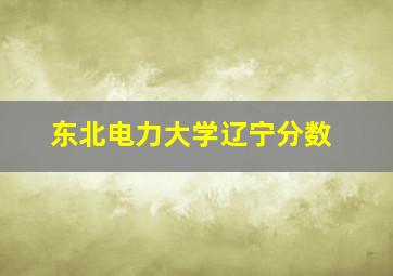 东北电力大学辽宁分数