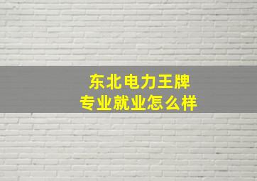 东北电力王牌专业就业怎么样