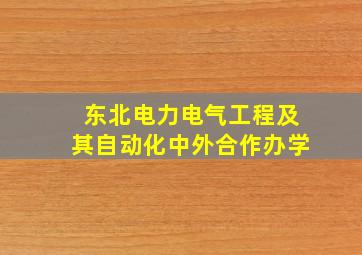 东北电力电气工程及其自动化中外合作办学