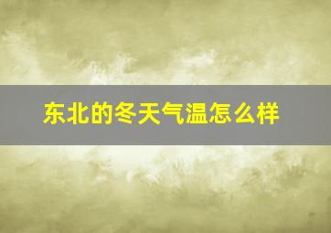 东北的冬天气温怎么样