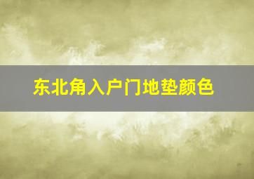 东北角入户门地垫颜色