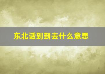 东北话到到去什么意思