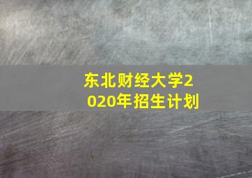 东北财经大学2020年招生计划