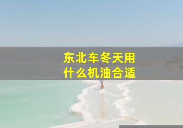 东北车冬天用什么机油合适