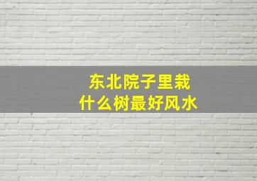 东北院子里栽什么树最好风水